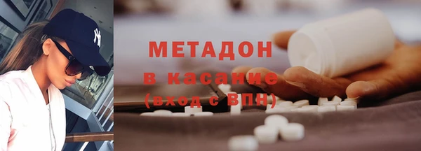 шишки Новозыбков