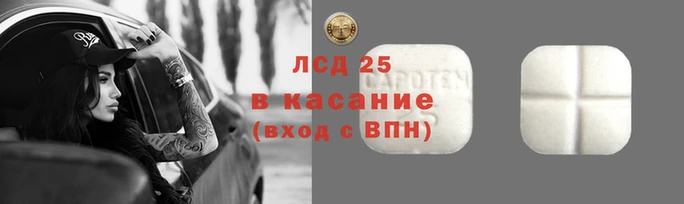 шишки Новозыбков