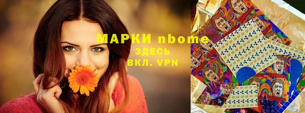 шишки Новозыбков