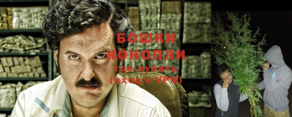 шишки Новозыбков