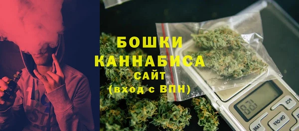 шишки Новозыбков