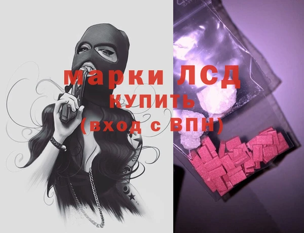 шишки Новозыбков
