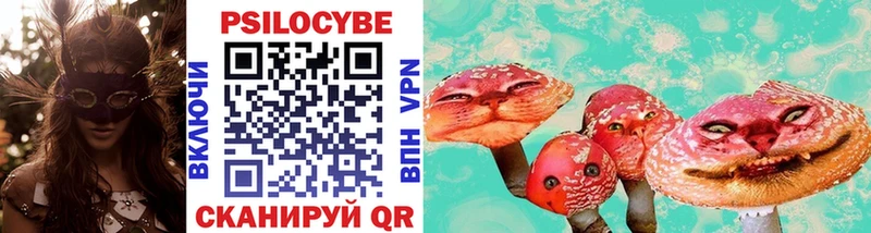 Купить  Клин  Псилоцибиновые грибы мухоморы 